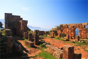 6a00d834529ffc69e2011572384132970b-800wi