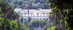 musee-national-des-beaux-arts-alger-1